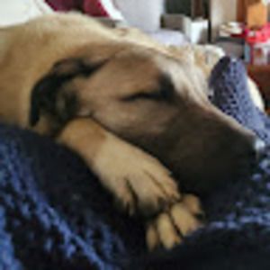 Meet your Posher, Addy